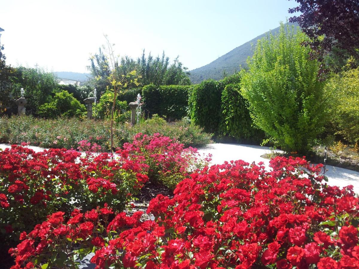 Amalurra Granada Hotel Caparacena Luaran gambar